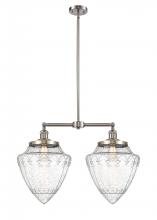  209-SN-G664-12-LED - Bullet - 2 Light - 24 inch - Brushed Satin Nickel - Stem Hung - Island Light