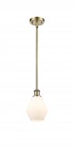  516-1S-AB-G651-6 - Cindyrella - 1 Light - 6 inch - Antique Brass - Mini Pendant