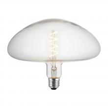 Light Bulbs in Buchanan